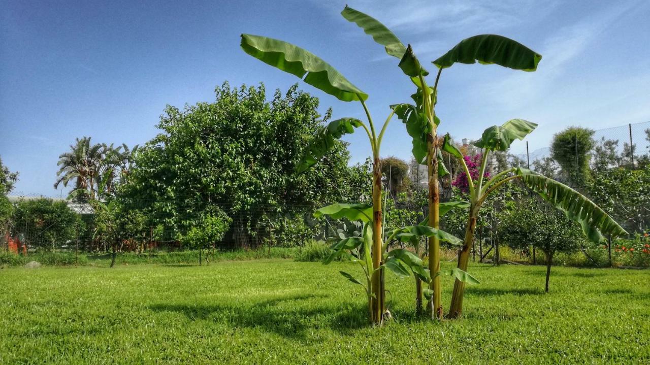 B&B Tifeo Villafranca Tirrena Kültér fotó