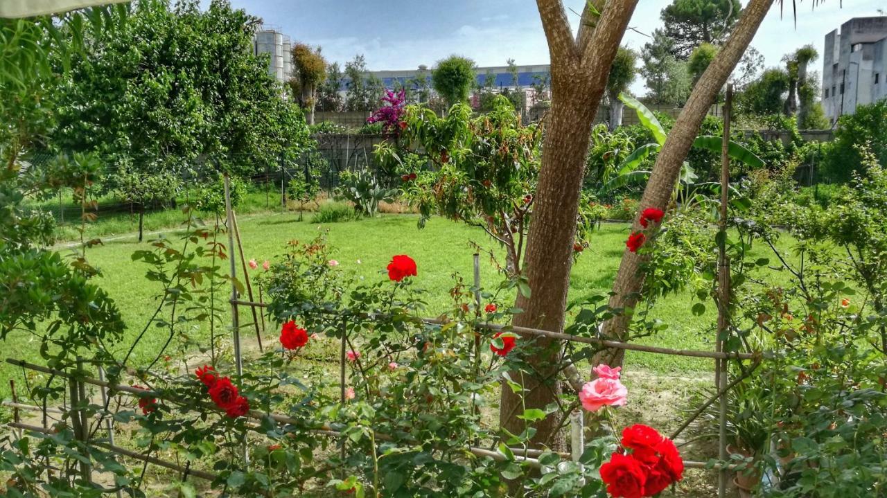 B&B Tifeo Villafranca Tirrena Kültér fotó